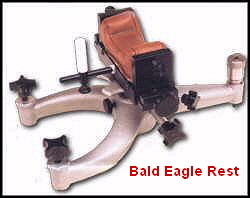 a_Bald_Eagle_Rest